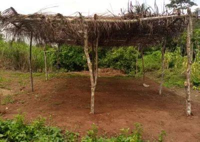 Abri de branchages sur le terrain identifié pour la boutique solidaire d'Ovangul, Cameroun
