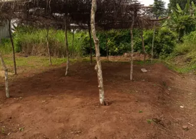 Vue du terrain identifié pour la future boutique solidaire à Ovangul, Cameroun
